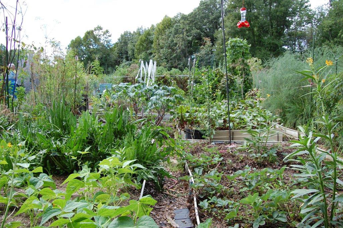 Community Gardens