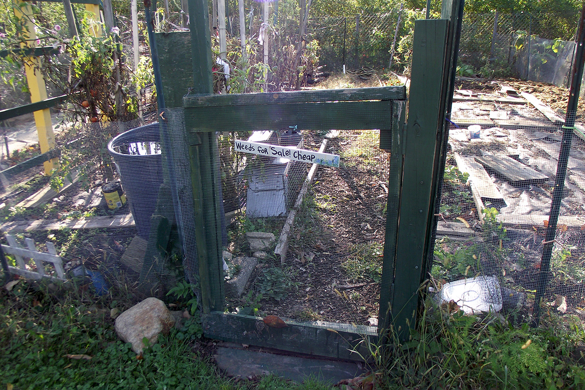 Community garden gate