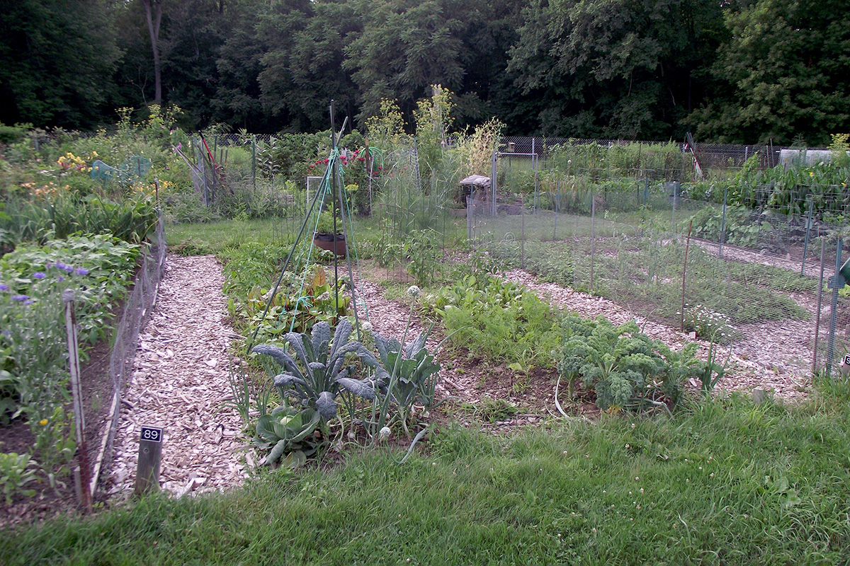 Community Gardens